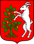 Obrovac - Erb