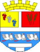 Vinkovci - Erb