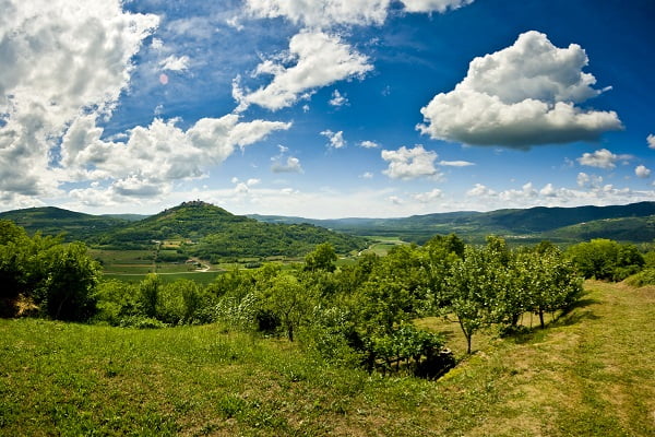 Motovunský les, Chorvatsko