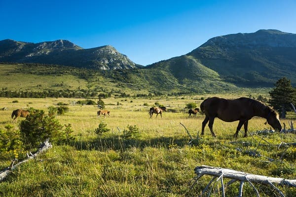 Přírodní park Velebit, Chorvatsko