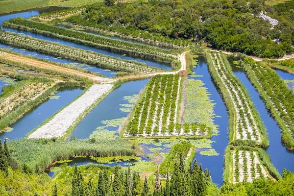 Neretva údolí - Chorvatsko